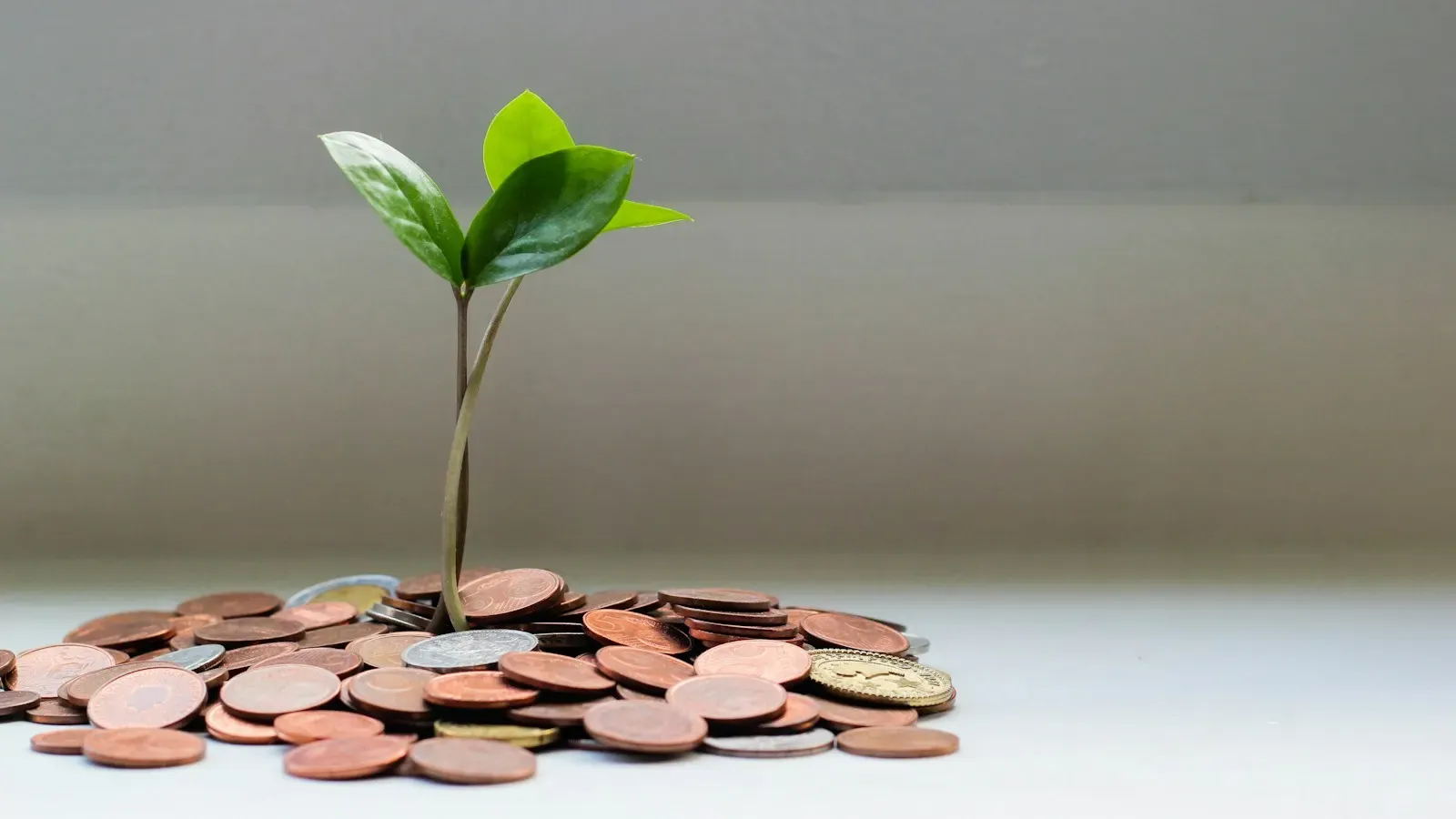 A small green seedling growing out of a scattered pile of copper and silver coins